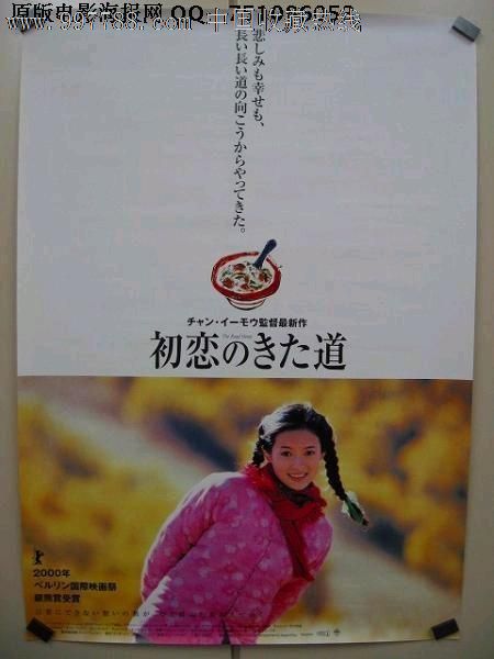 费拉拉大学公共管理文凭证书